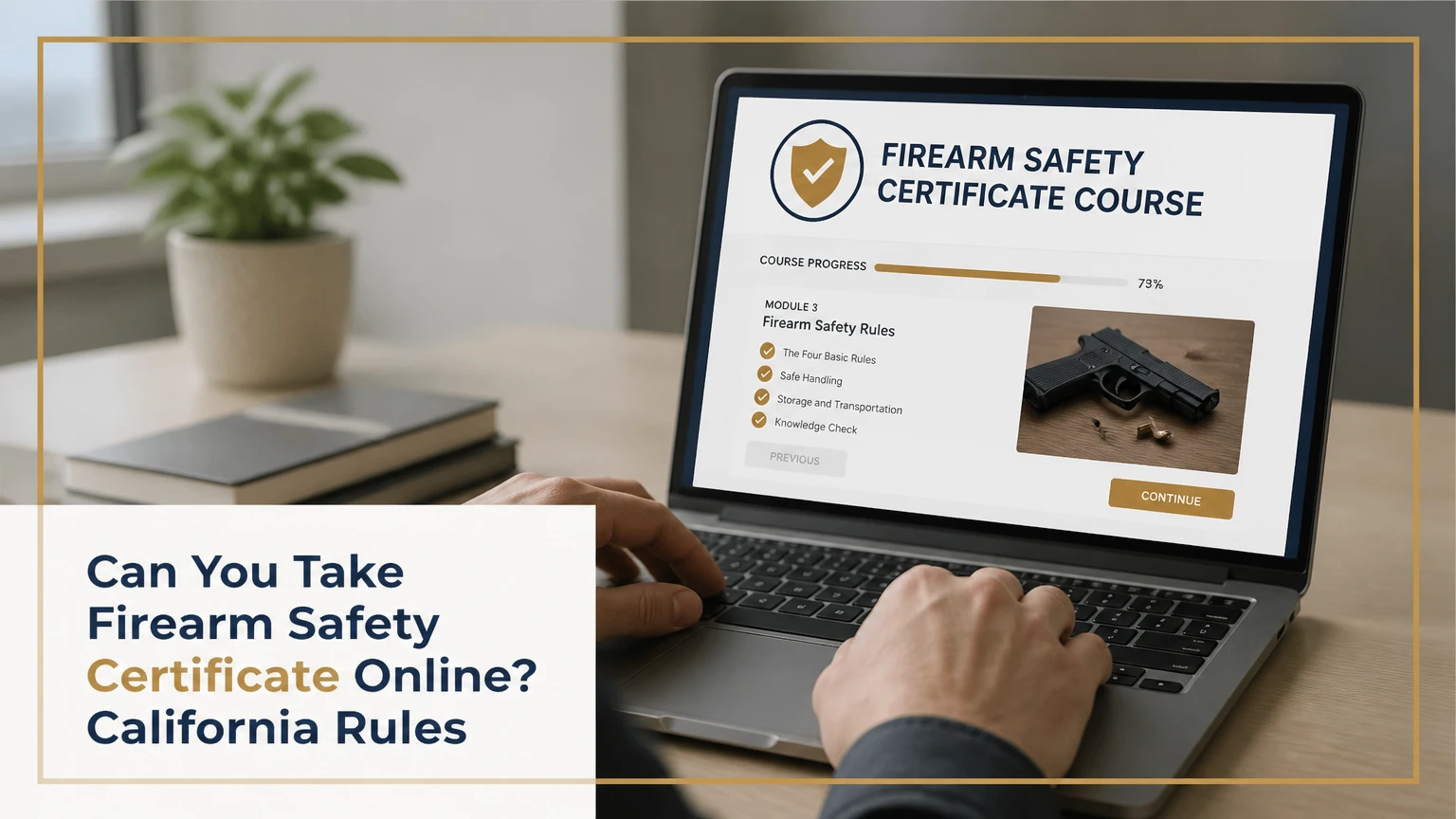 can you take firearm safety certificate online